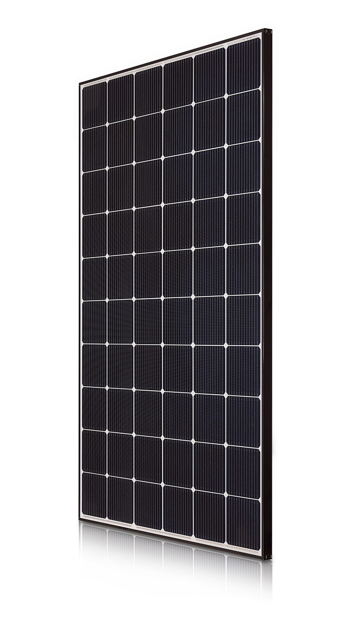 Solar Panel Options Completely Green